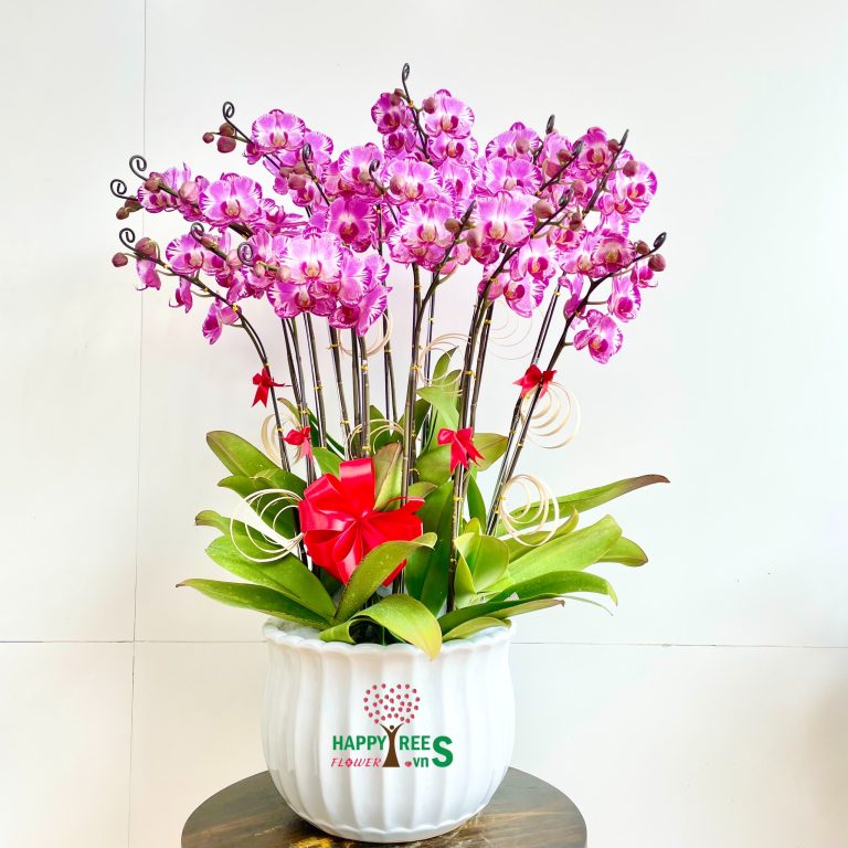 Sự kiện kết nối kinh doanh thứ ba ngày 06/12 2